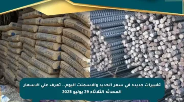 تغييرات جديدة في سعر الحديد والأسمنت اليوم.. تعرف على الأسعار المحدثة الثلاثاء 29 يوليو 2025